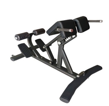 Home Gym Rowing Machine - Commercial Foldable Steel Adjustable Roman Bench