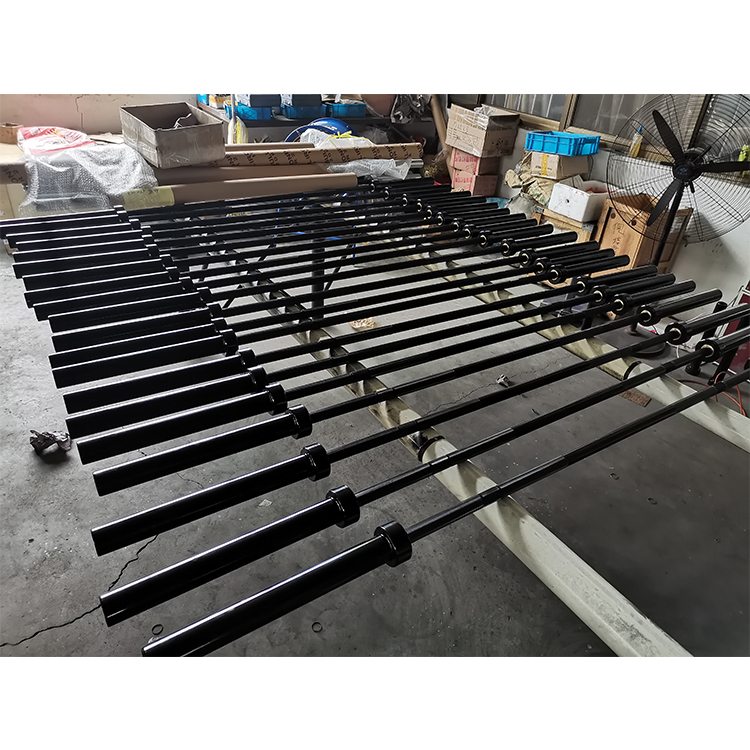 Olympic Barbell 20Kg - Hot Sale High Cost Performance Gym