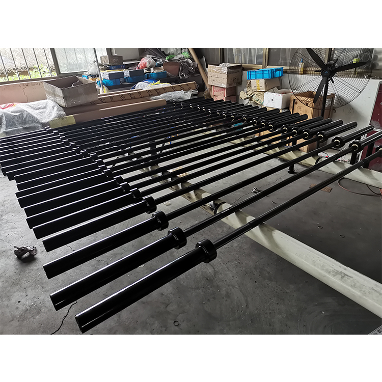 Hot Sale High Cost Performance - Olympic Barbell 20Kg ulasan dan harga
