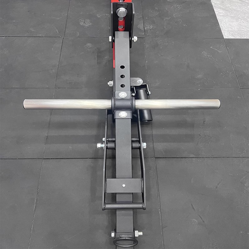 Multi-function Squat Buttock L - Home Gym Rowing Machine ulasan dan harga